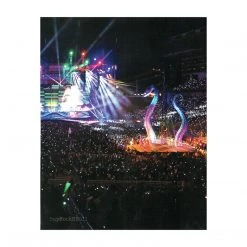 Taylorswift.com Taylor Swift Collectible 2018 Official Reputation Concert Photos Stadium Tour Book