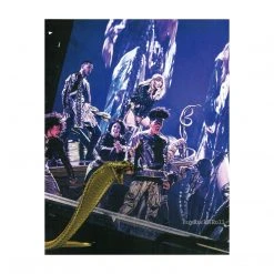 Taylorswift.com Taylor Swift Collectible 2018 Official Reputation Concert Photos Stadium Tour Book