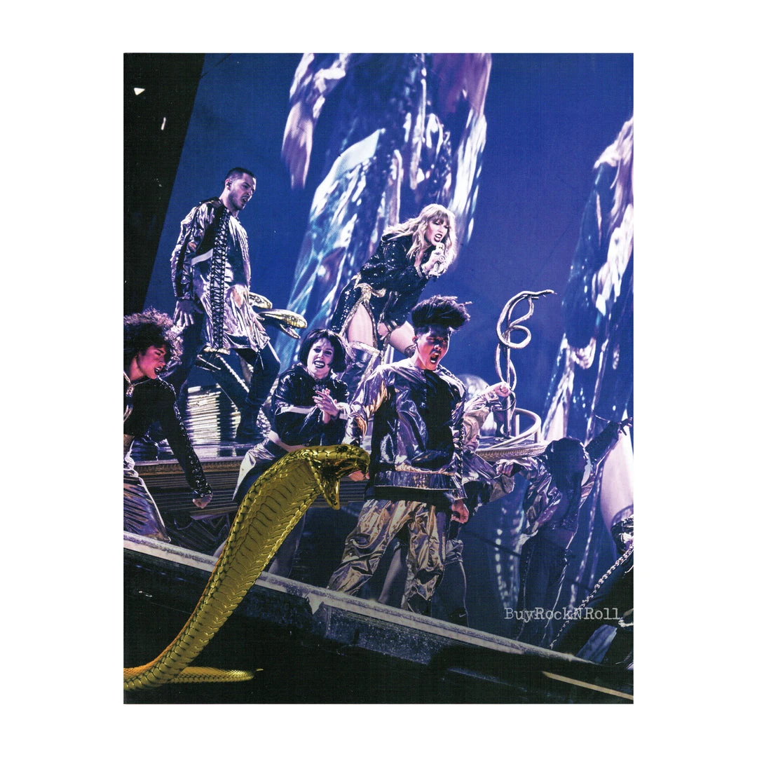 Taylorswift.com Taylor Swift Collectible 2018 Official Reputation Concert Photos Stadium Tour Book