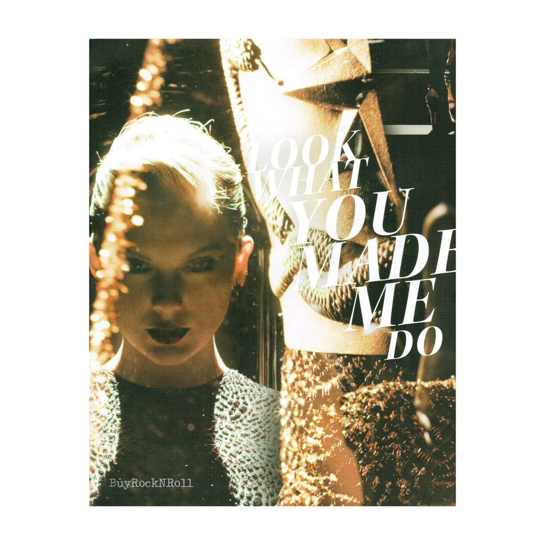 Taylorswift.com Taylor Swift Collectible 2018 Official Reputation Concert Photos Stadium Tour Book