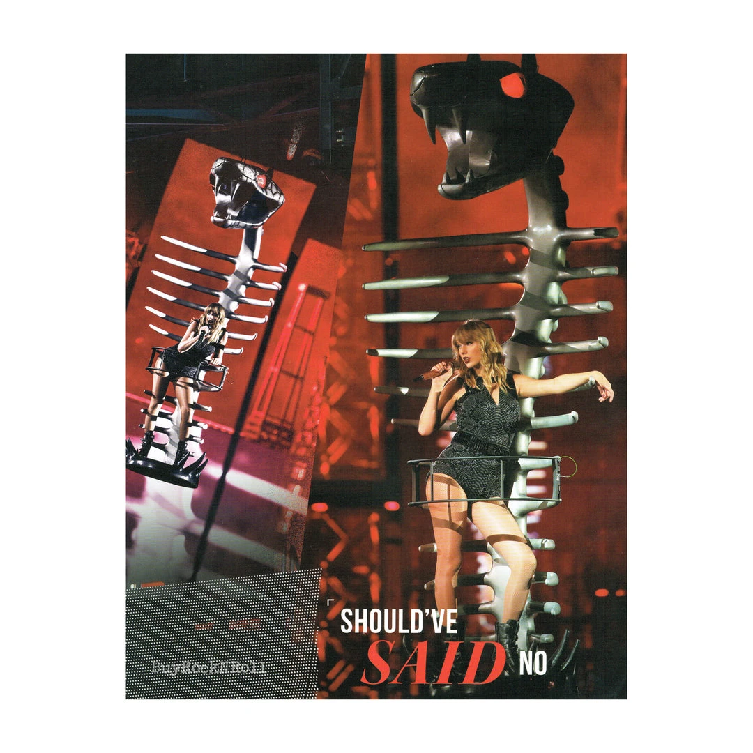 Taylorswift.com Taylor Swift Collectible 2018 Official Reputation Concert Photos Stadium Tour Book