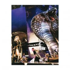 Taylorswift.com Taylor Swift Collectible 2018 Official Reputation Concert Photos Stadium Tour Book