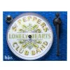 The Beatles Beatles, The Beatles Collectible 2017 Pro-ject Essential III SGT Peppers Turntable With Ortofon OM-10