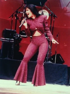 Selena Collectible 2021 Handpicked Funko Pop Rocks #205 Burgundy Outfit Glitter Figure In Protector